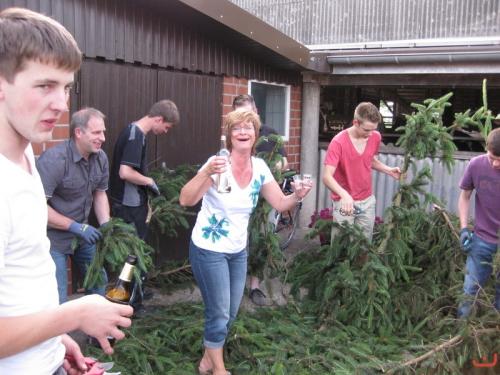 2013-vogel-schmuecken-12-large