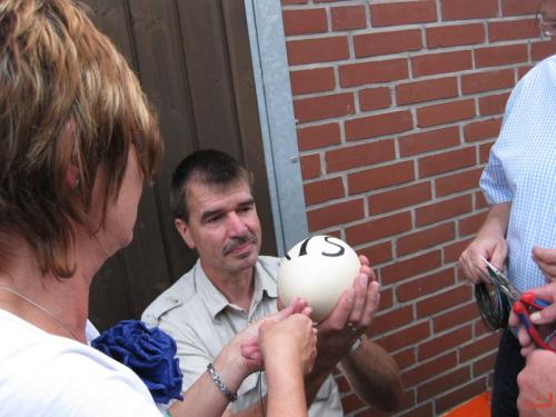 2013-vogel-schmuecken-22-large